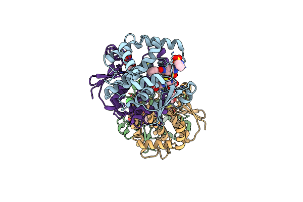 3VI7 image
