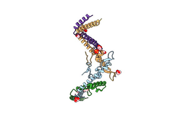 3VIQ image
