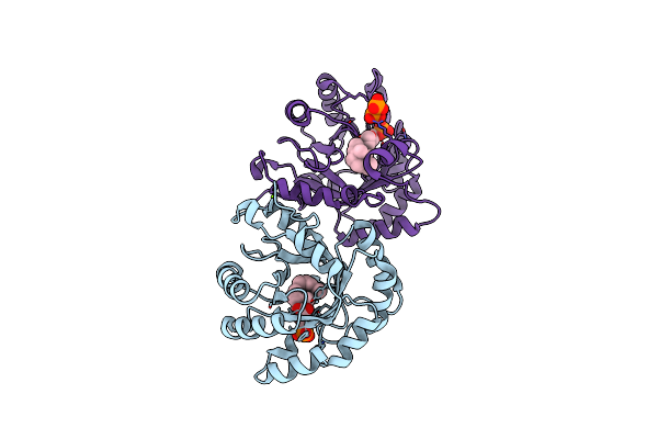 3VKC image