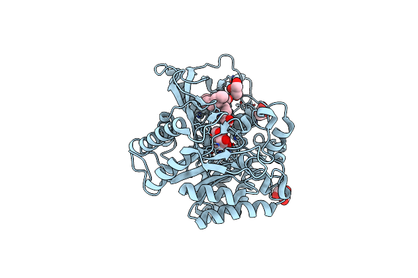 3VKK image