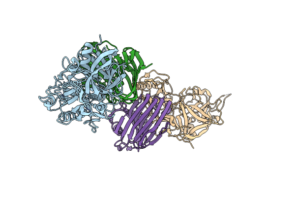 3VLB image