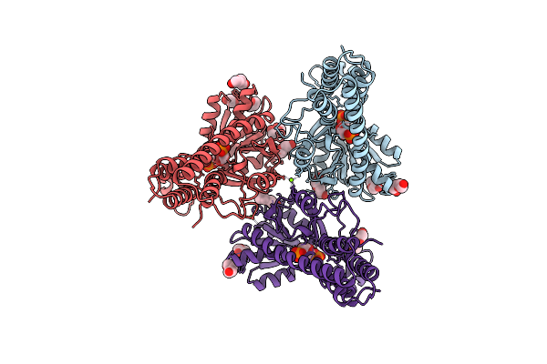 3VM6 image