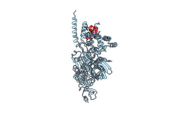 3VMA image