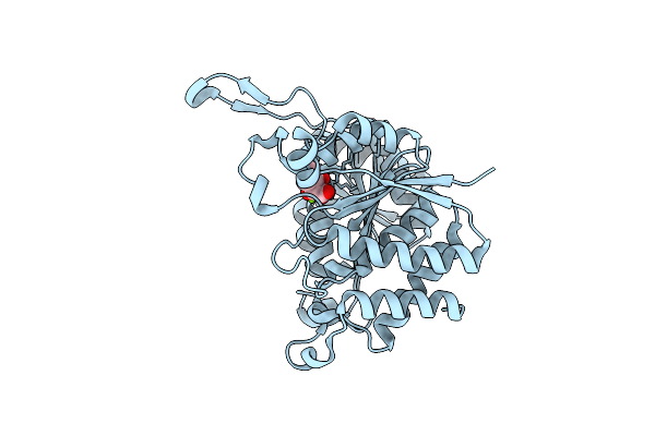 3VMJ image