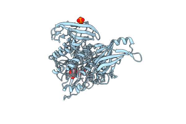 3VMP image