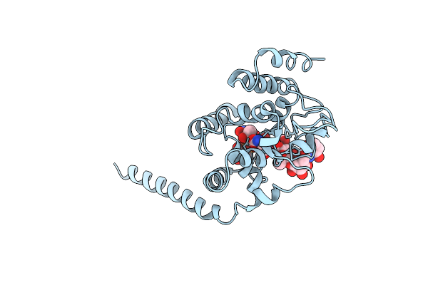 3VMR image