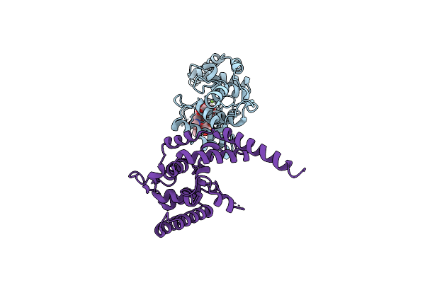 3VMT image