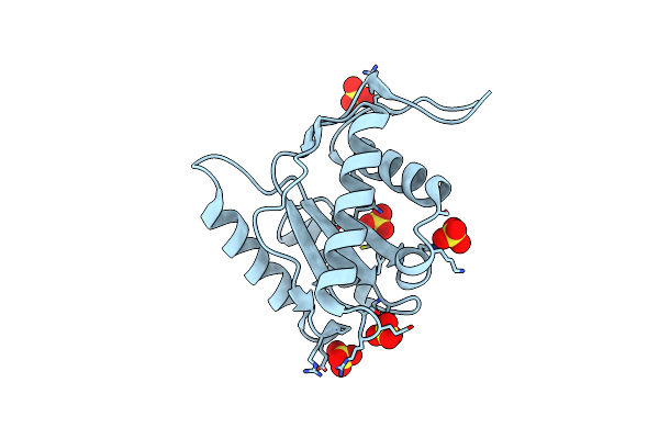 3VNA image