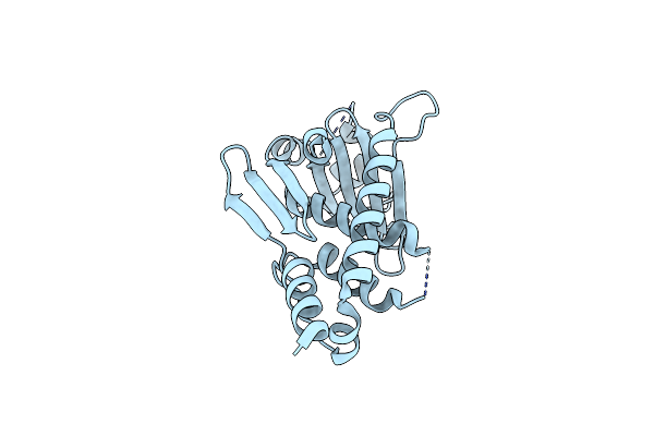 3VNF image