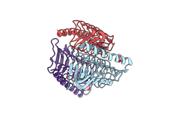 3VNP image
