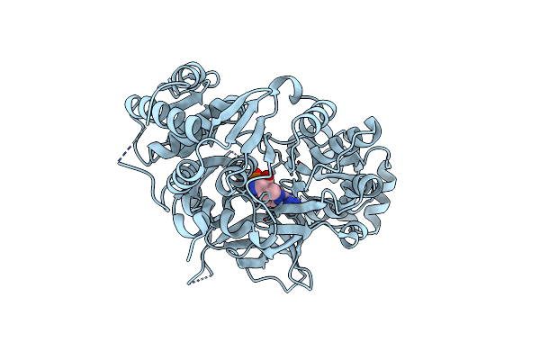 3VNR image