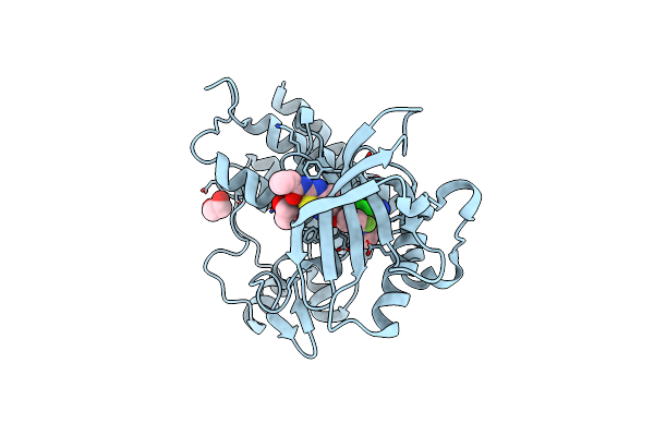 3VNT image