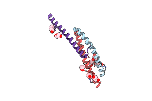 3VOP image