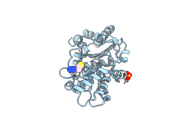 3VP2 image