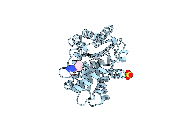 3VP3 image