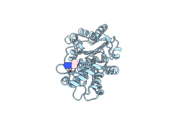 3VP4 image
