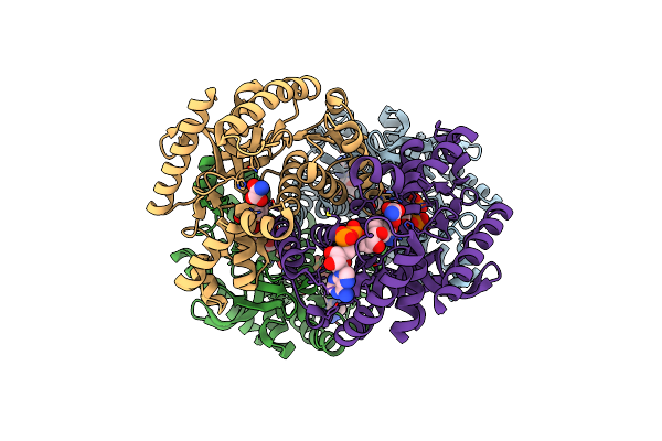 3VPH image
