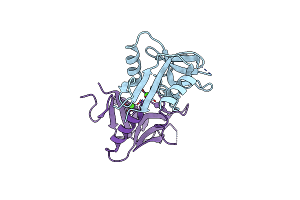 3VPP image
