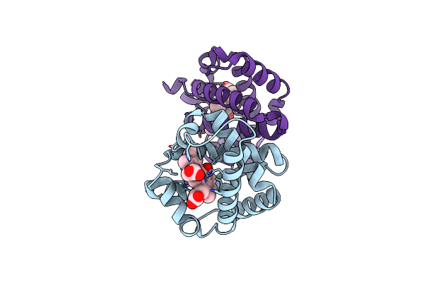 3VRF image