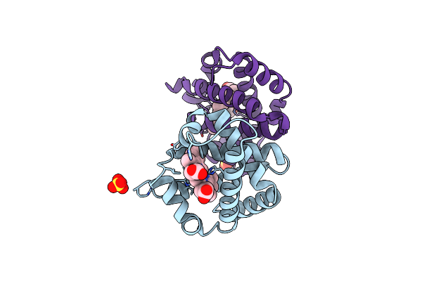 3VRG image