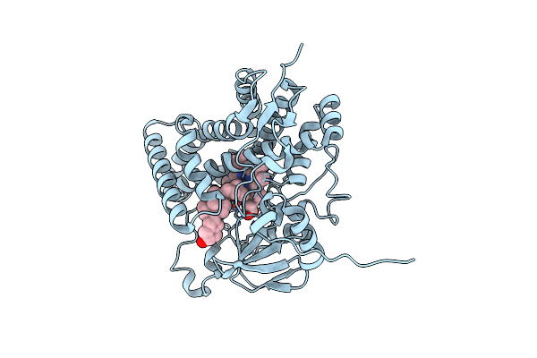 3VRM image