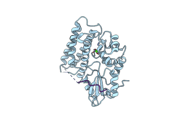 3VRP image