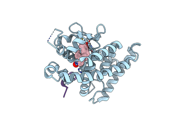3VRT image