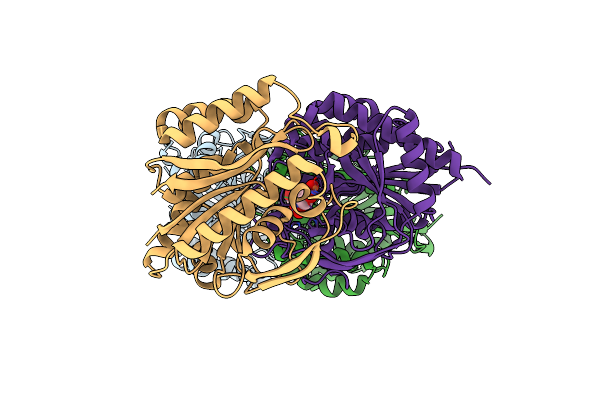 3VSI image