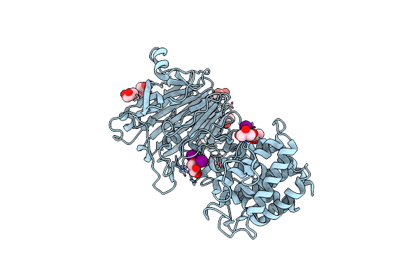 3VSN image