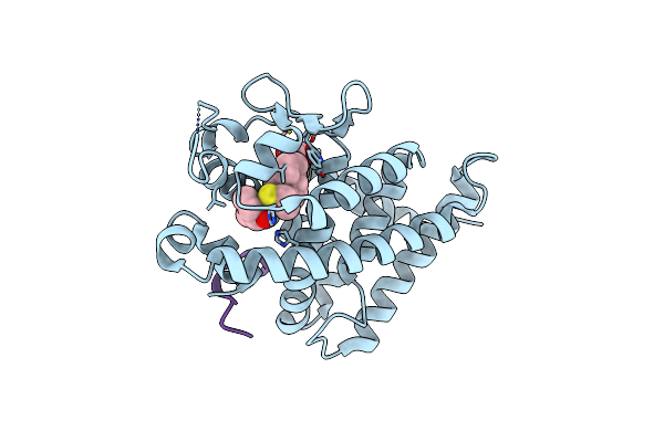 3VT4 image