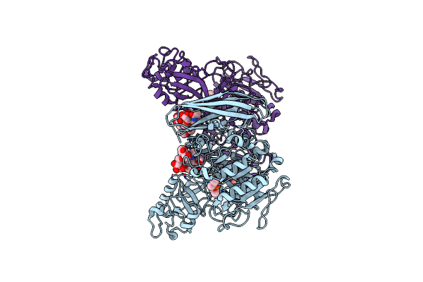 3VTA image