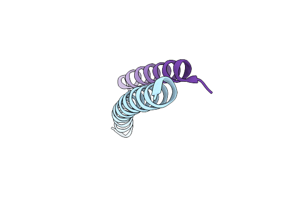3VTP image