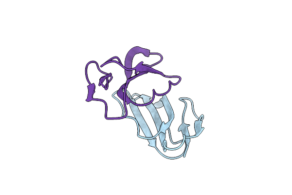 3VTS image