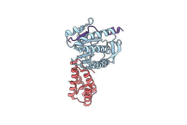 3VU7 image