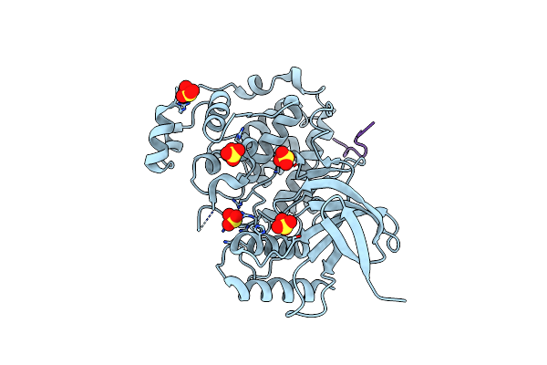 3VUI image