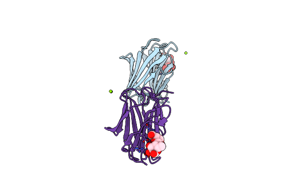 3VV1 image