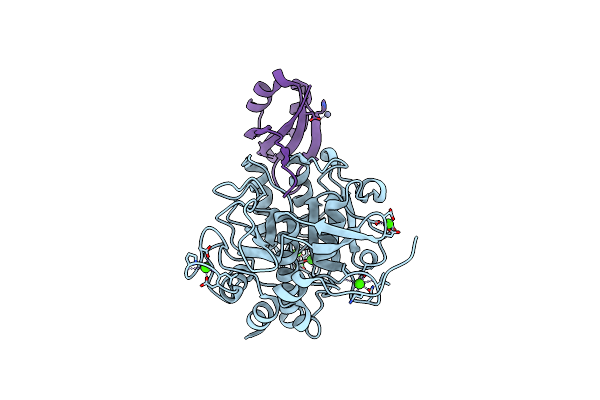 3VV2 image