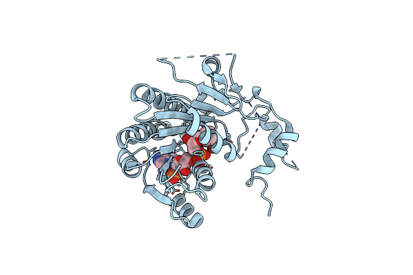 3VVB image