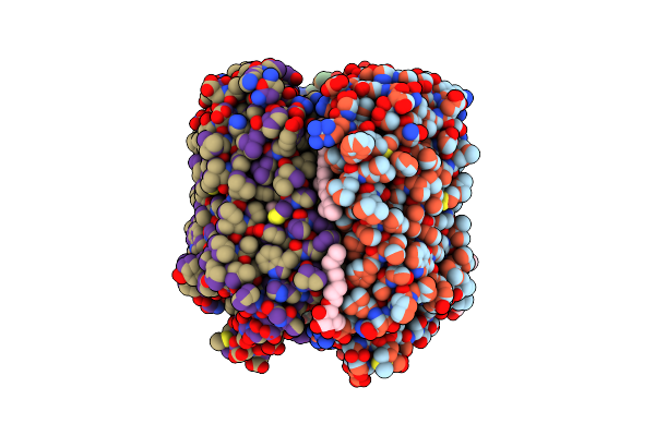 3VVK image