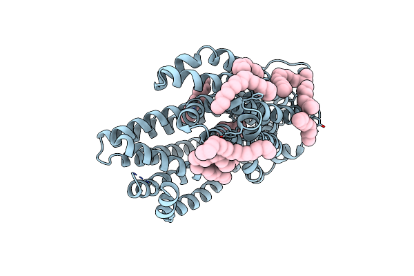 3VVO image