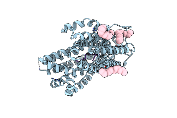 3VVR image