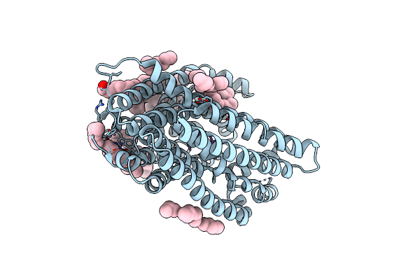 3VVS image