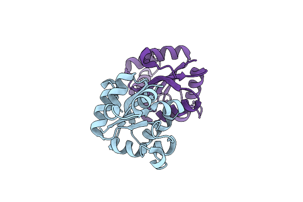 3VVT image