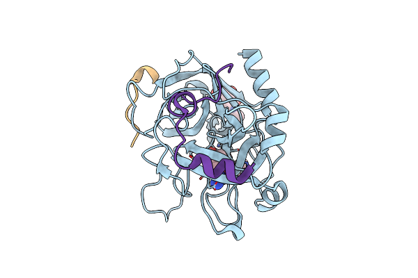 3VXE image
