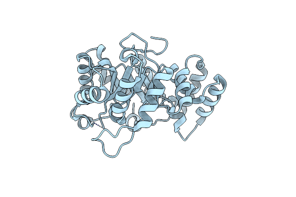 3VXG image