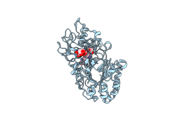3VXI image