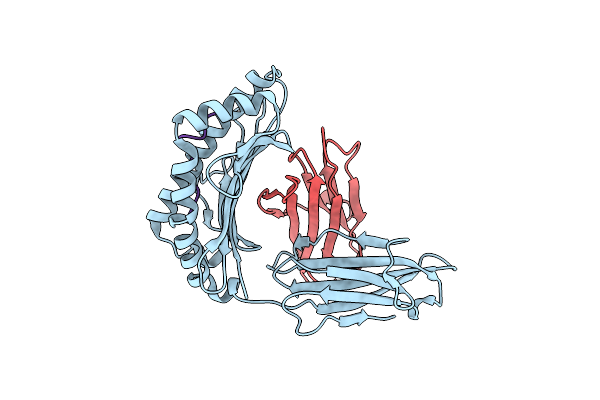 3VXN image