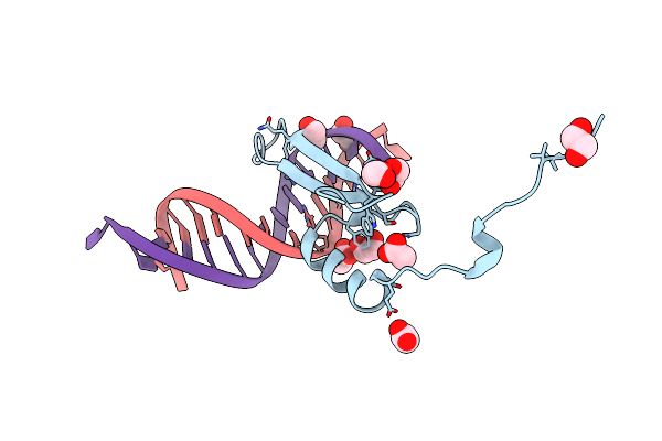 3VXV image