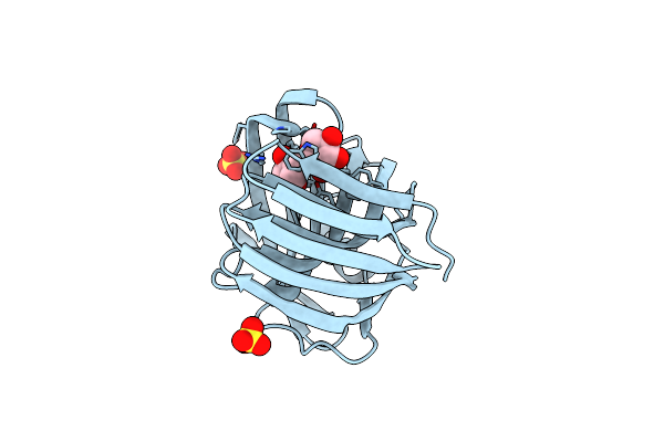 3VZO image