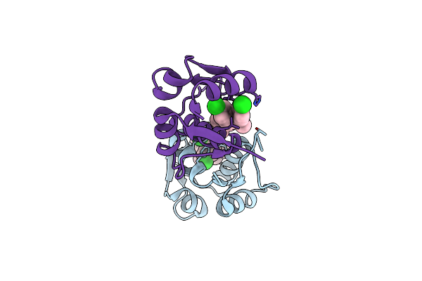 3VZV image